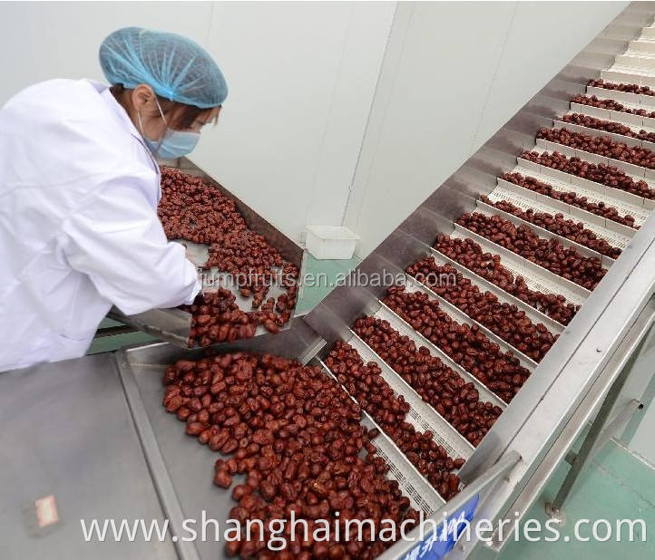 dates palm processing drying machine with turn key solution